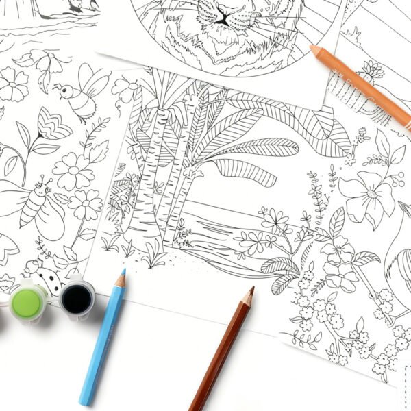 COLOURING CARDS LEVEL: 3