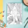 Birds Of Paradise- Set Of 6