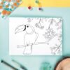 Birds Of Paradise- Set Of 6