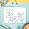 Birds Of Paradise- Set Of 6
